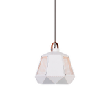 Loha Multi-color Pendant Light | Modern