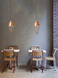 Trendy Rose Gold Pendant Lamp | Chrome Design