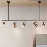 gold track pendant light