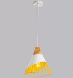Cone-shaped Cage Pendant Light | Designer Series